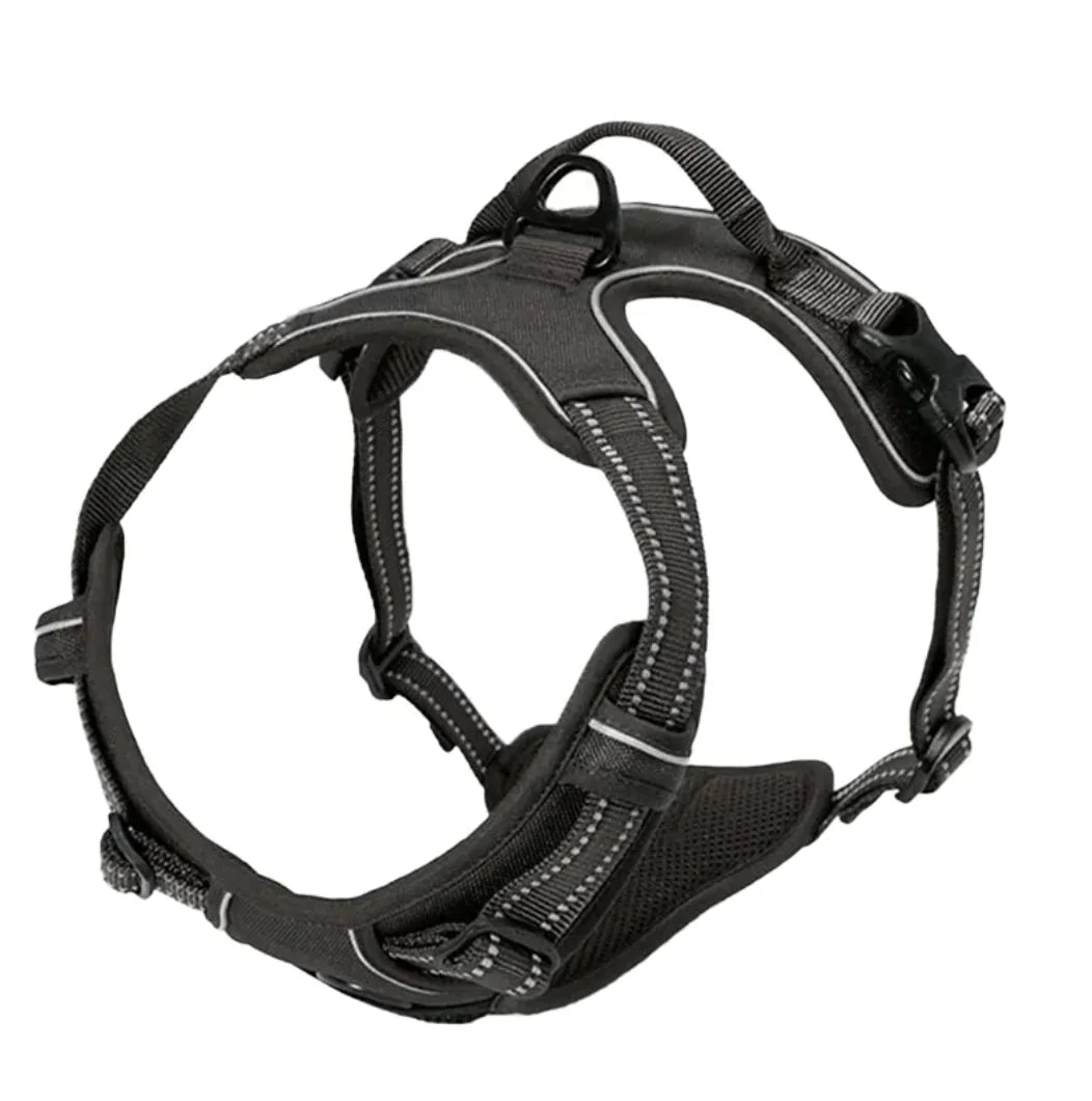 AirFlex Harness