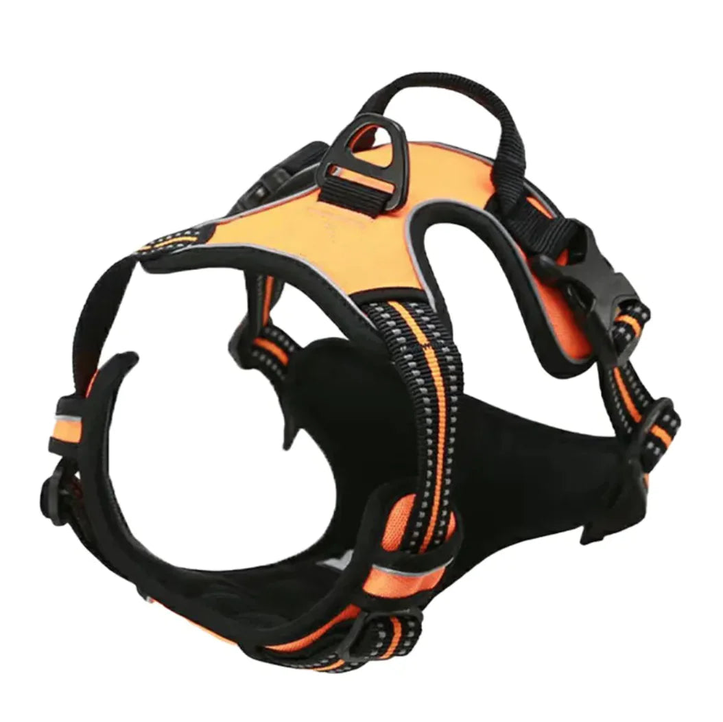 AirFlex Harness™ –