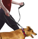 ControlPro Leash