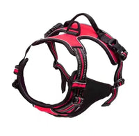 AirFlex Harness